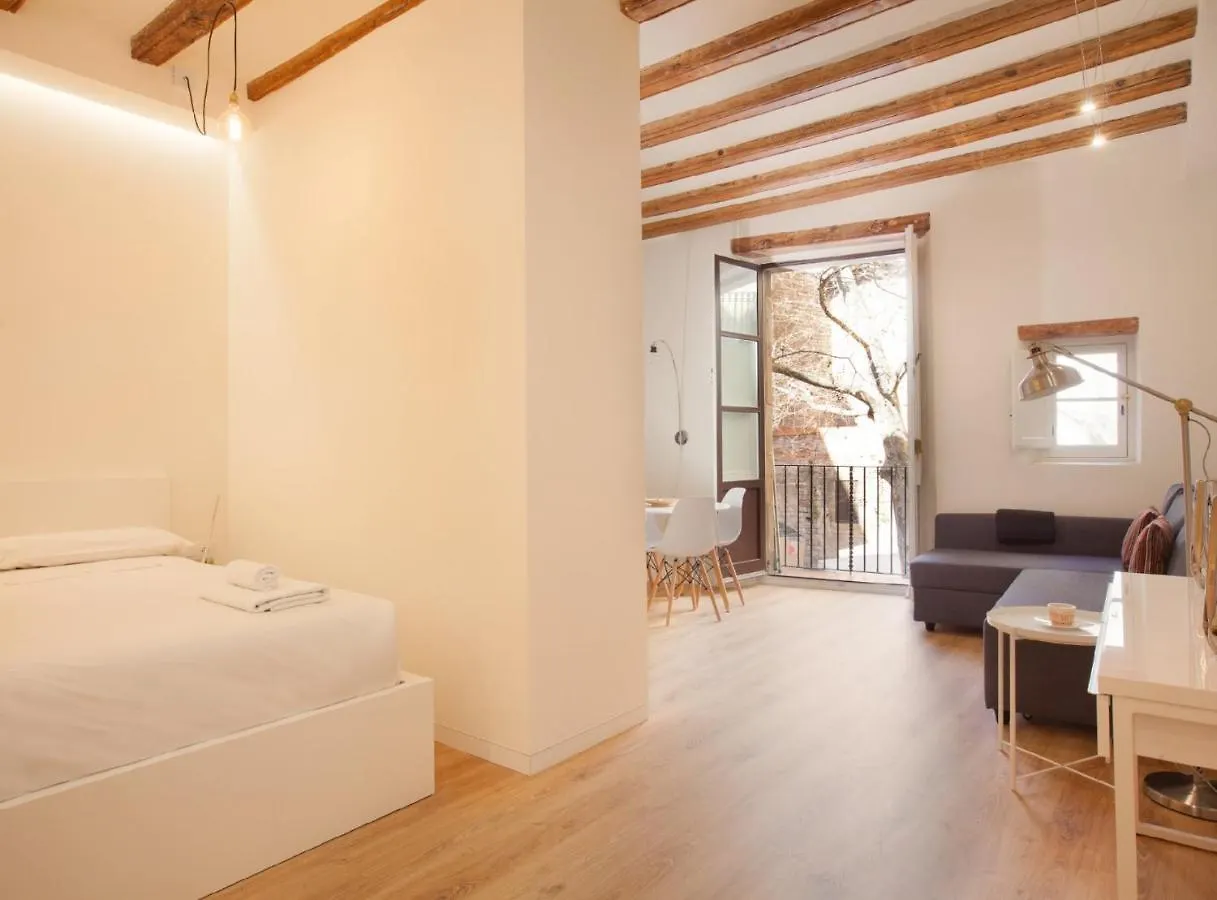 Alsina - Historical Center - Barrio Gotico Apartment Barcelona 0*,