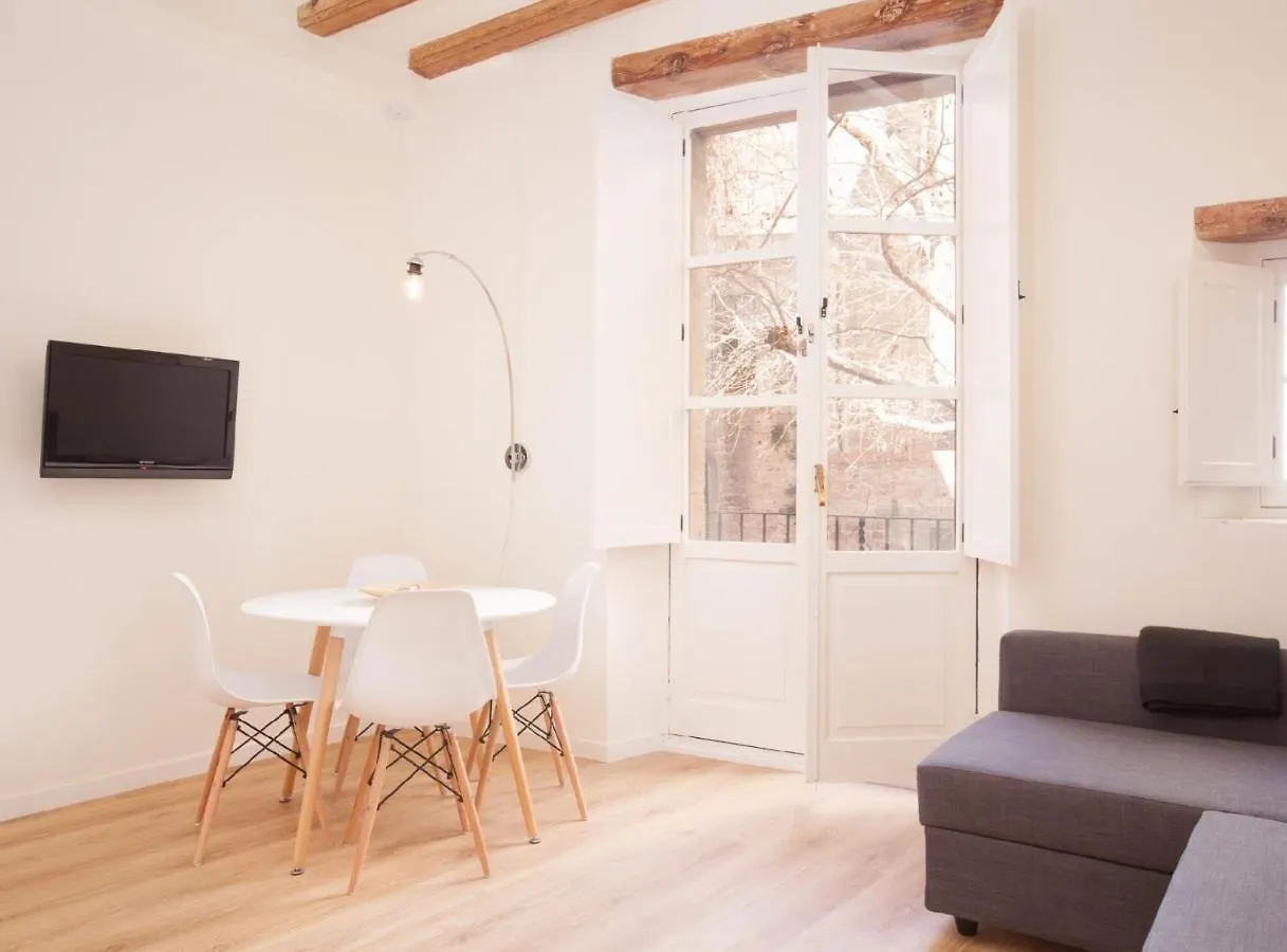 Alsina - Historical Center - Barrio Gotico Apartment Barcelona